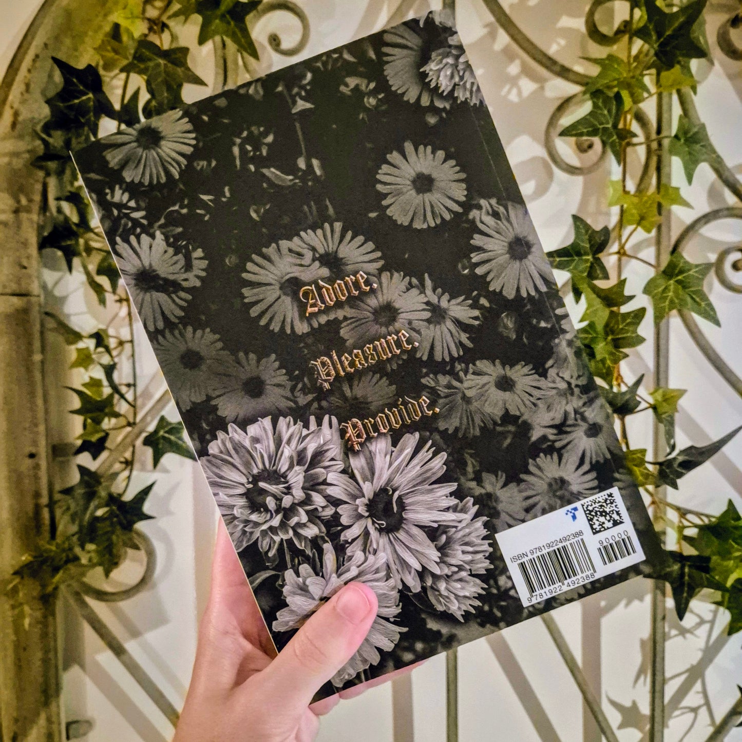 SIGNED - Born For Silk (alternative cover)